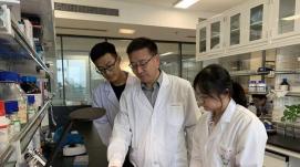 發(fā)現(xiàn)新蛋白！我省一研究成果首次入選“中國高等學校...
