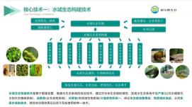 西安高新區(qū)舉行科技助力環(huán)保 共建幸福家園主題宣傳活動