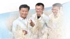 中國科學家成功破譯裸燕麥基因密碼