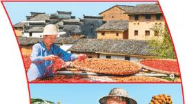 端穩(wěn)中國飯碗：全國大部分地區(qū)秋糧長(zhǎng)勢(shì)較好