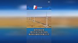 國資委要求中央企業(yè)“一企一策”制定碳達峰行動方案