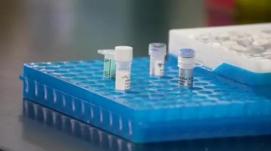 提高育種效率 西南大學研制出首款油菜液相育種芯片