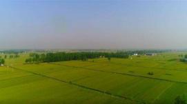 全方位夯實糧食安全根基｜藏糧于地，讓更多農(nóng)田變良田