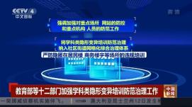 12部門進一步加強學科類隱形變異培訓防范治理工作